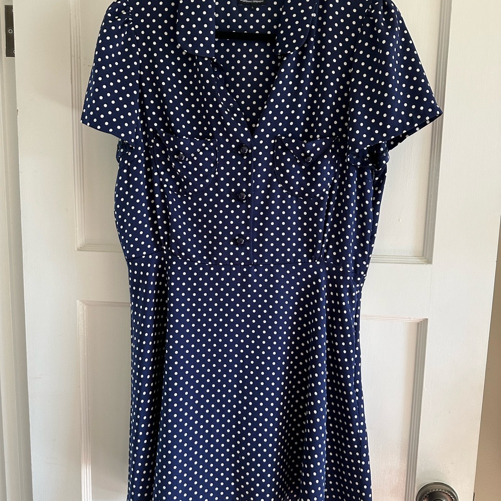 Chloe Sevingy for Opening Ceremony Navy and White Midi Dress